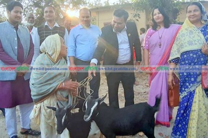 ভিক্ষুকদের মাঝে জেলা প্রশাসকের 
গবাদিপশু বিতরণ