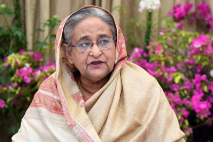 করোনা নিয়ে আতঙ্কিত হওয়ার কিছু নেই : প্রধানমন্ত্রী