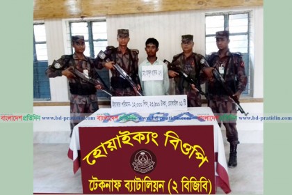 মুরগী ও কবুতরের ব্যবসার আড়ালে ইয়াবা পাচার, আটক ১