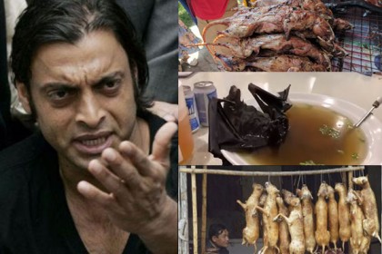 ‘কেন ইঁদুর-বাদুড়-কুকুর-বিড়াল খেতে হবে’, ক্ষিপ্ত শোয়েব ধুয়ে দিলেন চীনাদের!