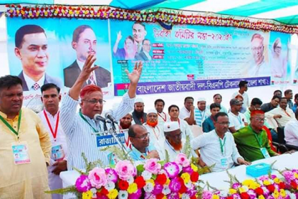 টেকনাফে বিএনপির নির্বাহী কমিটির সভা অনুষ্ঠিত 