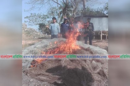গলাচিপায় ৩ লাখ টাকার নিষিদ্ধ জাল পুড়িয়ে ধ্বংস