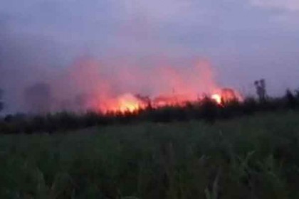 নাটোরে সুগার মিলের ইক্ষু খামাড়ে আগুন