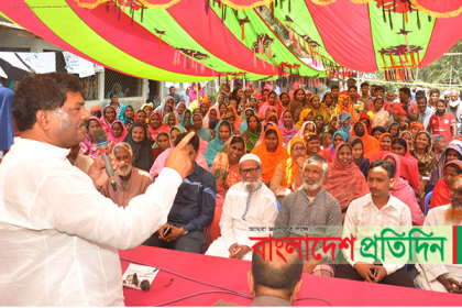সরকার নির্বাচনের নামে তামাশা করছে: দুলু