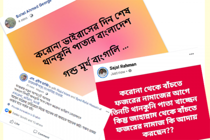 করোনা থেকে বাঁচতে থানকুনি পাতা খাওয়ার গুজব!