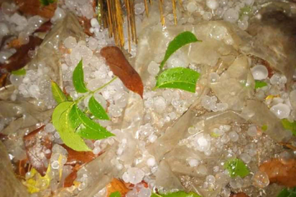 রাজবাড়ীতে হঠাৎ করে ব্যাপক শিলাবৃষ্টি