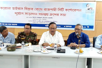করোনা মোকাবিলায় কাজ ভাগ করে নিতে হবে : বাদশা