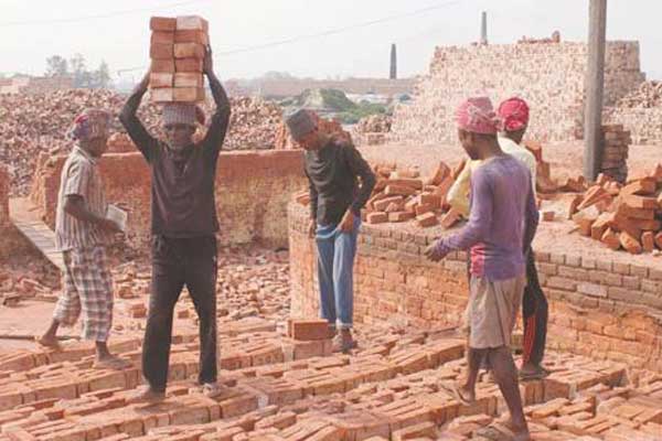 'বাহে, হামরা কাম না করলে হ্যামাক কায় খাবার দিবে?'