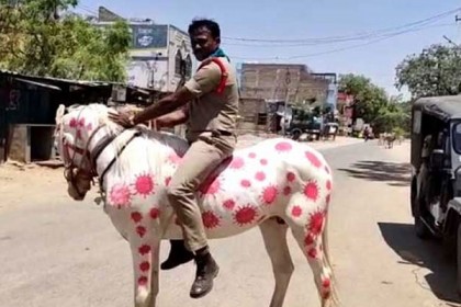 ঘোড়ার শরীরে করোনাভাইরাস!