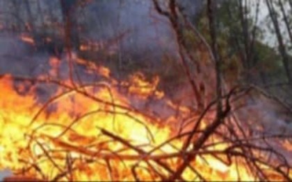 টেকনাফে পাহাড় আগুনে ভস্মিভূত