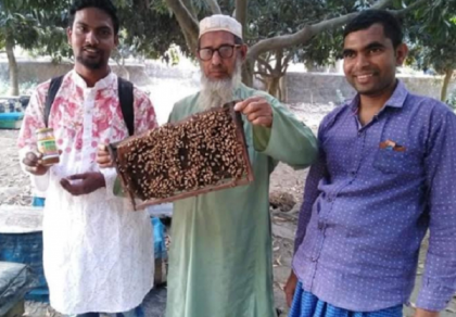 দিনাজপুরে মুকুলে মুকুলে ভরে গেছে লিচুর বাগান