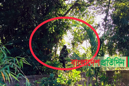 বিশ্বনাথে তাবলীগ ফেরত যুবকের আত্মহত্যা!