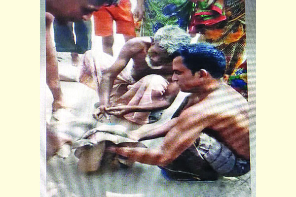 নৃশংসভাবে বানর হত্যা