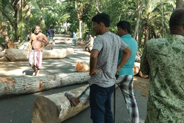 কোটালীপাড়ায় বিভিন্ন এলাকায় লকডাউন

