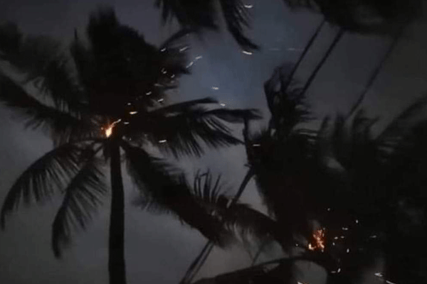 বজ্রপাতে নারকেল গাছে আগুন

