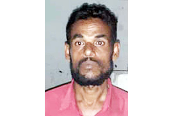 বানারীপাড়ায় ধর্ষণের মামলায় ফল বিক্রেতা গ্রেফতার