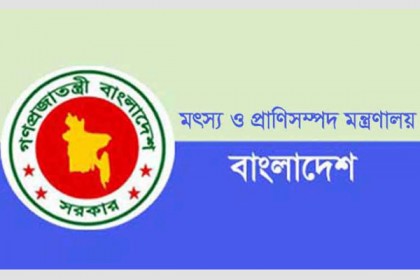 ২৫ এপ্রিল পর্যন্ত চালু থাকবে মৎস্য ও প্রাণিসম্পদ মন্ত্রণালয়ের নিয়ন্ত্রণ কক্ষ

