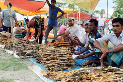 ব্রাহ্মণবাড়িয়ায় ঐতিহ্যবাহী শুটকি মেলা স্থগিত