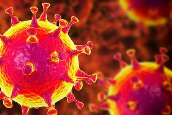 শিবচরে এবার করোনায় আক্রান্ত নারী চিকিৎসক ও তার শিশু 