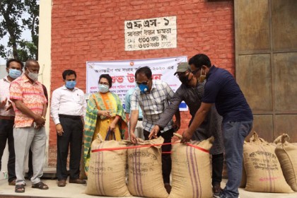 ডোমারে গম সংগ্রহ কর্মসূচি