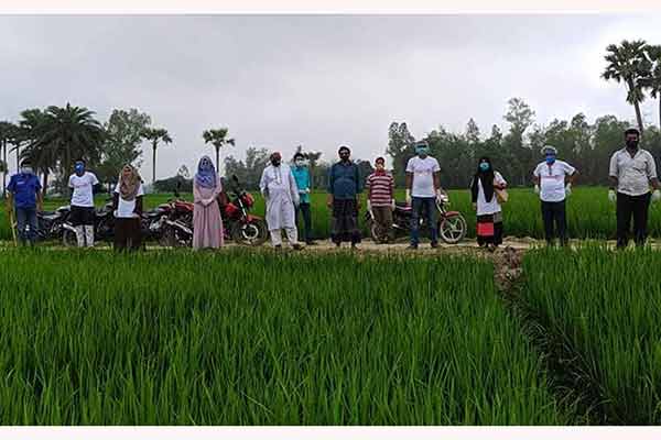 শিবগঞ্জে শ্রমিক সংকট হলে ধান কাটবেন স্বেচ্ছাসেবীরা