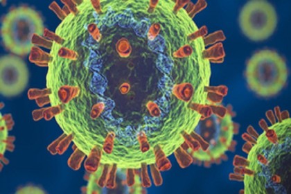 লক্ষ্মীপুরে নতুন ৪ জনসহ করোনায় আক্রান্ত  ২৬