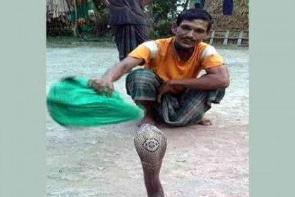 ব্রাহ্মণবাড়িয়ায় সাপের কামড়ে সাপুড়ের মৃত্যু