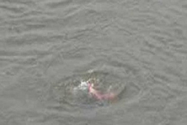 কুমিল্লায় খেলতে গিয়ে পানিতে ডুবে ভাই-বোনের মৃত্যু 