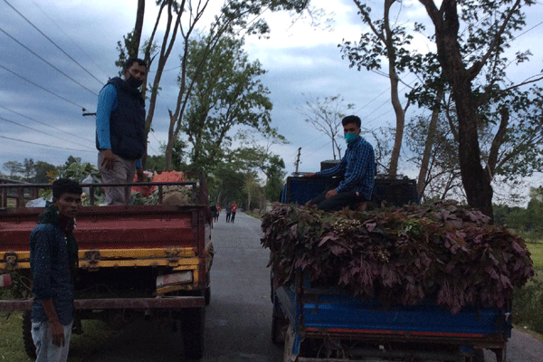 সুনামগঞ্জে কর্মহীনদের সবজি দিয়ে সহায়তা 


