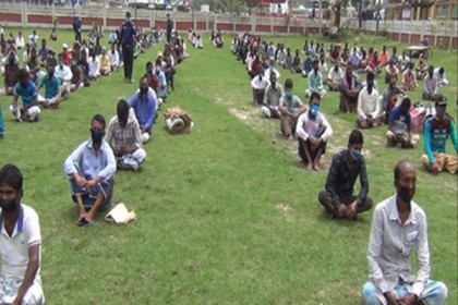 হাওড় ও চলনবিলে ধান কাটতে ১৩শ শ্রমিক পাঠালো নাটোর জেলা পুলিশ

