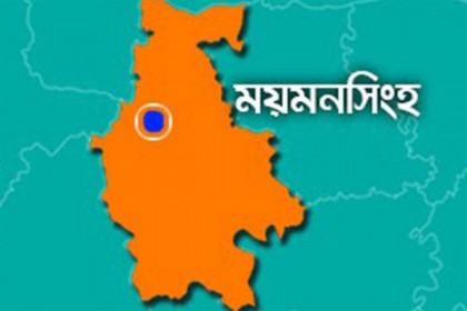 হালুয়াঘাটে বজ্রপাতে ২ কৃষকের প্রাণহানি 