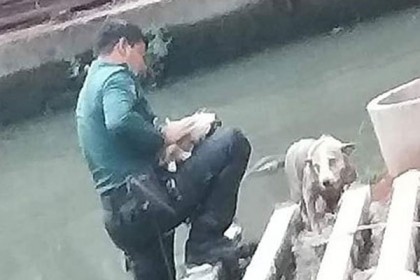 ময়লা খালে ঝাঁপিয়ে যেভাবে কুকুর ছানাকে বাঁচালেন পুলিশ কনস্টেবল