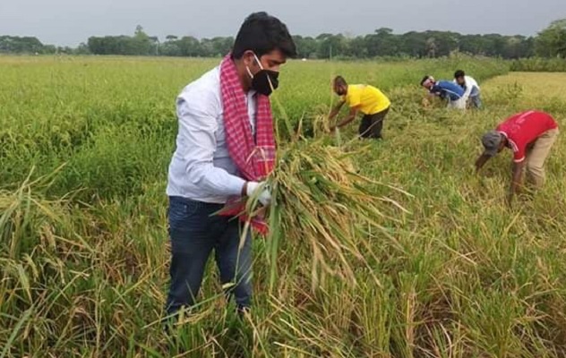 এবার নেত্রকোনায় কৃষকের ধান কাটলো ছাত্রলীগ 