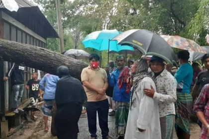 শরীয়তপুরে কালবৈশাখী ঝড়ে গাছ পরে একজনের মৃত্যু
