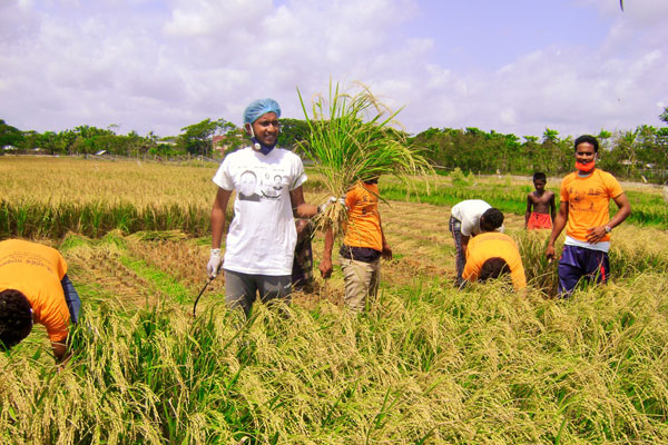 খুলনায় কৃষকের ধান কেটে 
ঘরে পৌঁছে দিচ্ছে ছাত্রলীগ