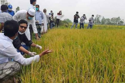 ক্ষতিগ্রস্ত কৃষকের পাশে আছে সরকার : পলক