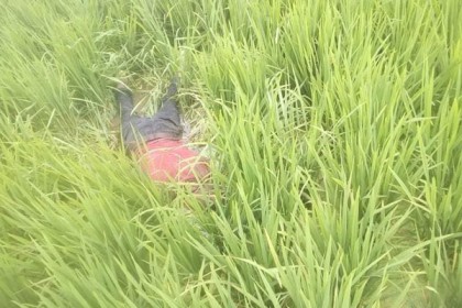 ঠাকুরগাঁওয়ে ধানক্ষেতে স্কুলছাত্রের গলাকাটা লাশ