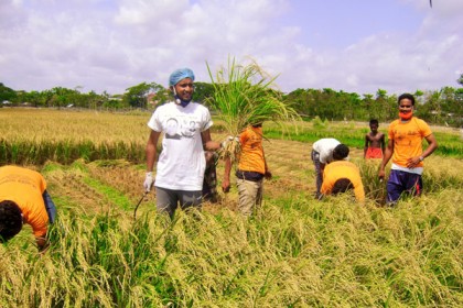 খুলনায় কৃষকের ধান কেটে 
ঘরে পৌঁছে দিচ্ছে ছাত্রলীগ