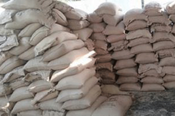 পেকুয়ায় স্কুল কক্ষ থেকে ১৫ টন চাল জব্দ

