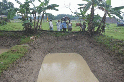পরিকল্পিত ডিম সংগ্রহে 'হালদা কার্ড'     

