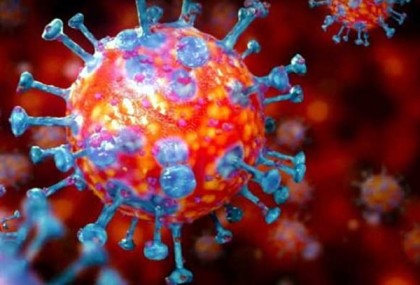 কুড়িগ্রামে এক গৃহিণীর করোনা সনাক্ত, জেলায় মোট আক্রান্ত ১০