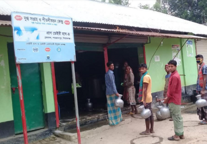 করোনার মধ্যেও দিনে ২ লাখ লিটার দুধ সংগ্রহ করছে প্রাণ ডেইরী