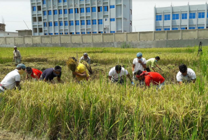 ছাত্রলীগের মানবিকতা, ১০ দরিদ্র কৃষকের মুখে হাসি