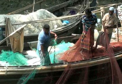 জেলেরা পদ্মা-মেঘনায় ইলিশ শিকারে নামবে আজ 