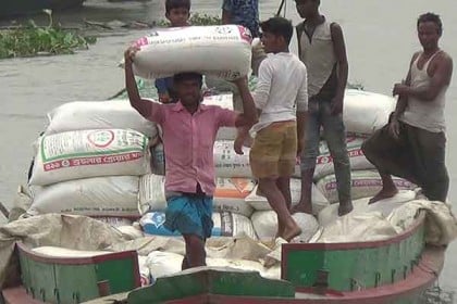 নেত্রকোনা থেকে মাত্র ১৫৬৮০ মেট্রিক টন ধান কিনবে সরকার 