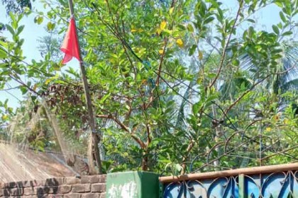 মোরেলগঞ্জে করোনায় শ্রমিকের মৃত্যু, ৫০ বাড়ি লকডাউন