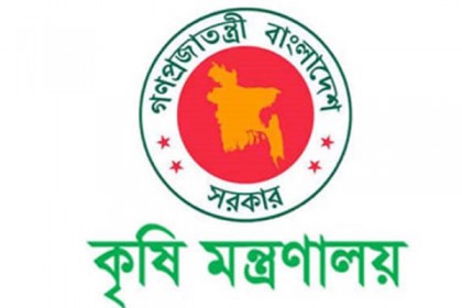 পঙ্গপাল সনাক্ত করতে টেকনাফের পথে কীটতত্ত্ববিদরা