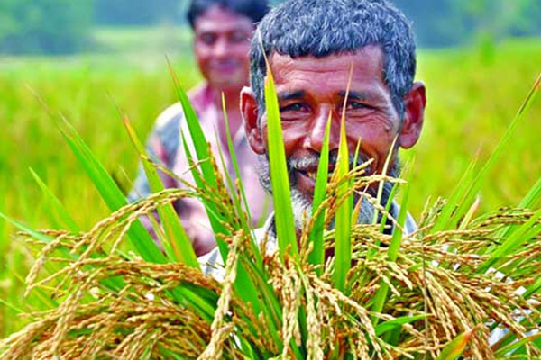 কৃষকদের টেলিসেবা দিচ্ছে এগ্রিবার্তার বিশেষজ্ঞ টিম
