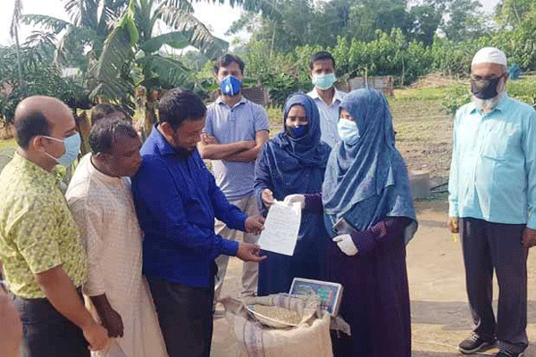 আখাউড়ায় কৃষকের বাড়ি গিয়ে ধান কেনার উদ্বোধন

