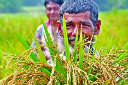 কৃষকদের টেলিসেবা দিচ্ছে এগ্রিবার্তার বিশেষজ্ঞ টিম